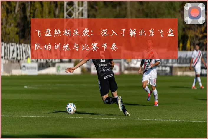 飞盘热潮来袭:深入了解北京飞盘队的训练与比赛节奏