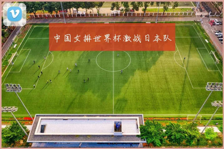 中国女排世界杯激战日本队