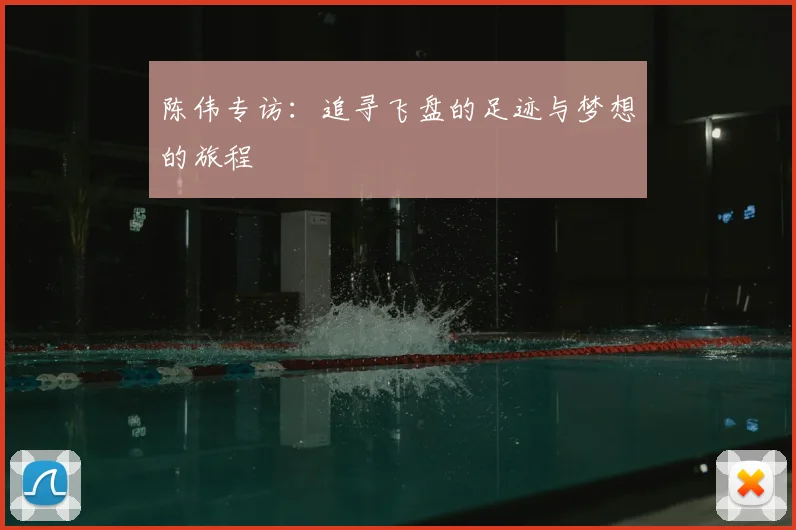 陈伟专访:追寻飞盘的足迹与梦想的旅程