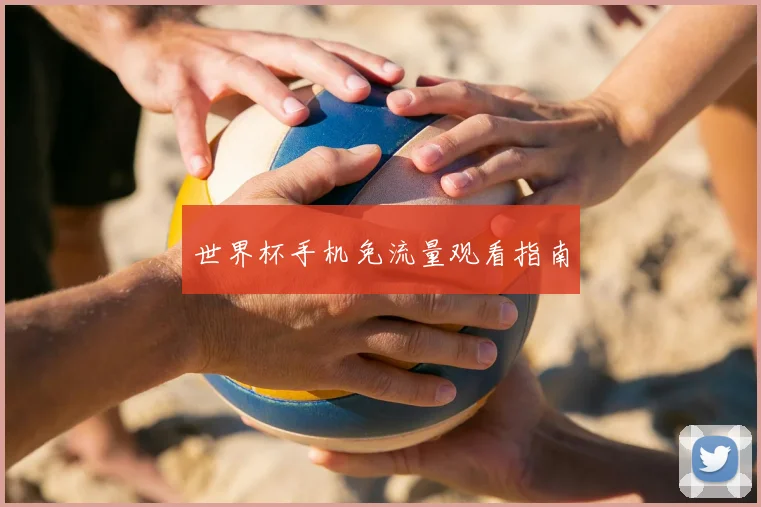 世界杯手机免流量观看指南