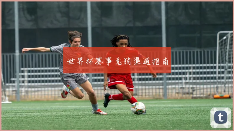 世界杯赛事竞猜渠道指南