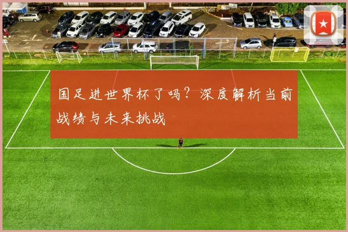 国足进世界杯了吗？深度解析当前战绩与未来挑战