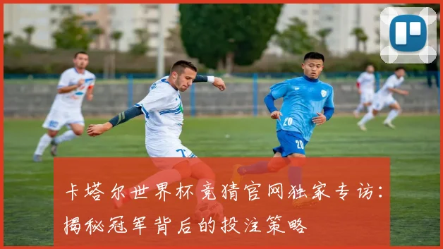 卡塔尔世界杯竞猜官网独家专访：揭秘冠军背后的投注策略