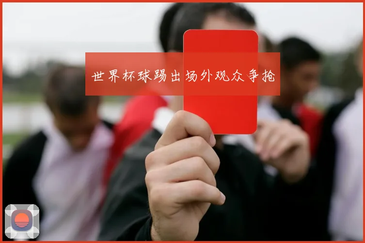 世界杯球踢出场外观众争抢