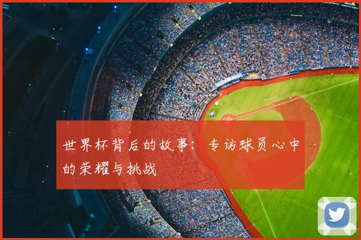 世界杯背后的故事:专访球员心中的荣耀与挑战