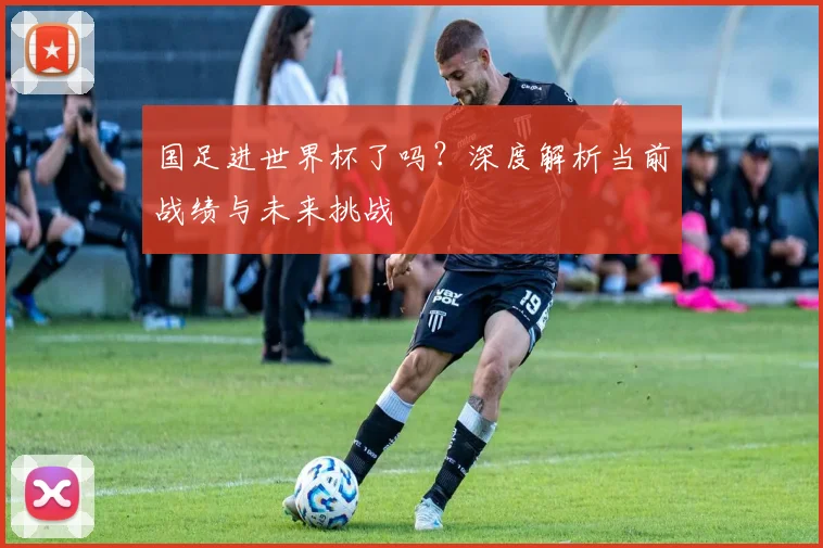国足进世界杯了吗?深度解析当前战绩与未来挑战
