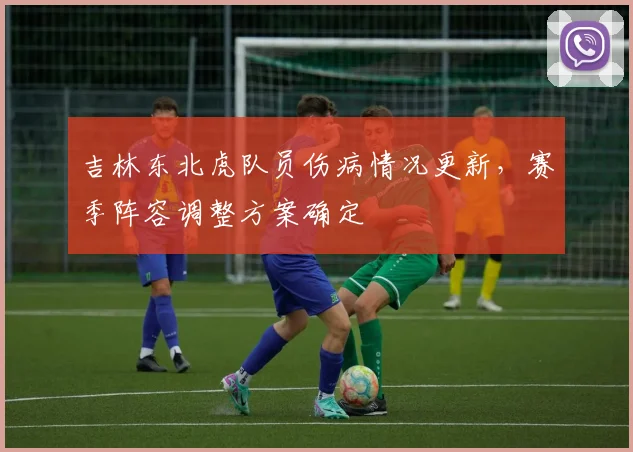 吉林东北虎队员伤病情况更新,赛季阵容调整方案确定