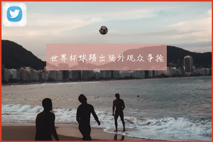 世界杯球踢出场外观众争抢