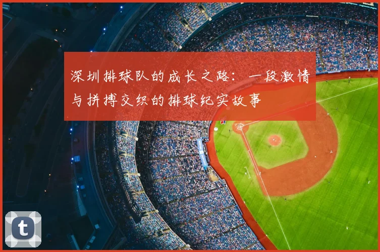 深圳排球队的成长之路：一段激情与拼搏交织的排球纪实故事